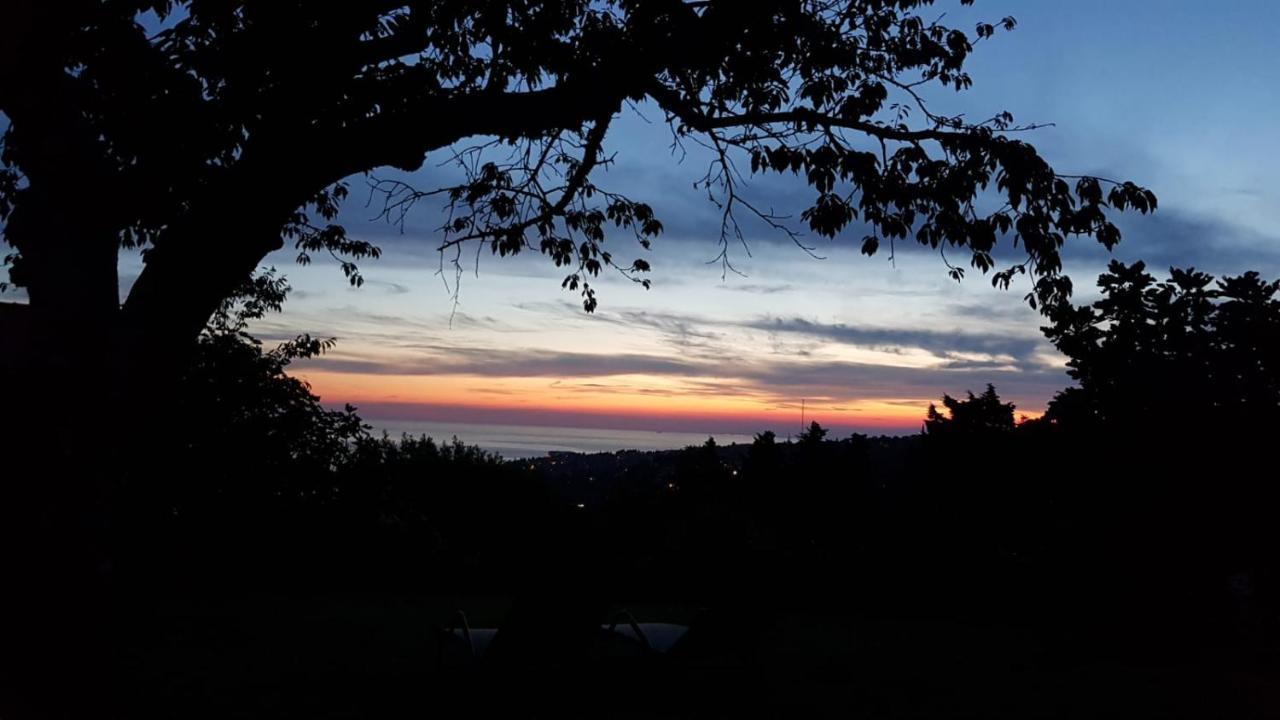 Peaceful Cherry Place Portorož Dış mekan fotoğraf